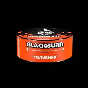 Burn BLACK Blueberry 100гр