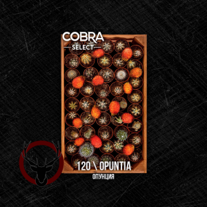 Табак Cobra Select Opuntia (Опунция) 40 гр.