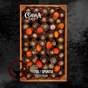 Табак Cobra La Muerte Opuntia (Опунция) 40 гр.