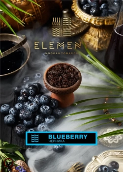 Element ВОДА Blueberry 100гр