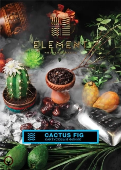 Element ВОДА Cactus Fig 100гр