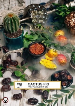 Element ВОЗДУХ Cactus Fig 40гр