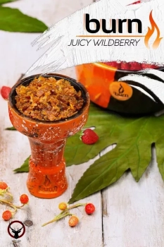 Burn Juicy wildberry 100гр