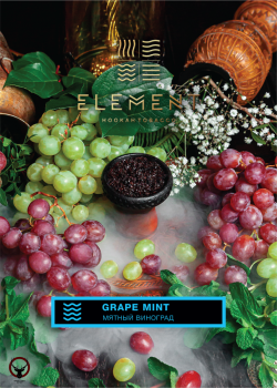 Element ВОДА Grape mint 25гр