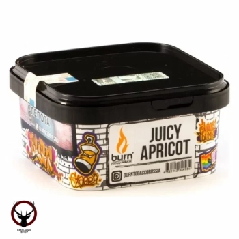 Табак для кальяна Burn Juicy apricot 200гр