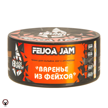 Burn BLACK Feijoa Jam 100гр
